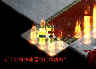 新手如何快速晋级传奇新服? 新手如何快速晋级传奇新服?