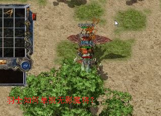 ��ʿ��ε�����Ӱħ����