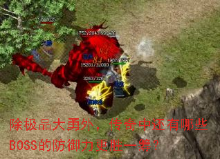 除极品大勇外,传奇中还有哪些BOSS的防御力更胜一筹? 除极品大勇外,传奇中还有哪些BOSS的防御力更胜一筹?