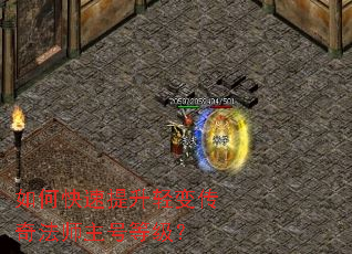 如何快速提升轻变传奇法师主号等级? 如何快速提升轻变传奇法师主号等级?