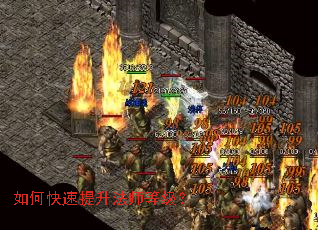 ��ο���������ʦ�ȼ���