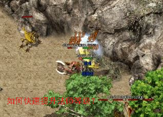 ��ο���������ʦ�ȼ���