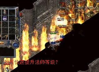 ��ο���������ʦ�ȼ���