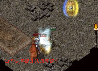 ��ο���������ʦ�ȼ���