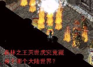 ɭ��֮�������������������ĸ���½���磿