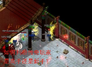 如何判断传奇玩家是高手还是新手? 如何判断传奇玩家是高手还是新手?