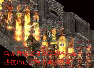 ���ɴ�˵�������ɹ��ԣ���Щ������������ѱ������