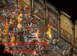 ��Ѫ��������ű���ˢ��ʱ���Ƕ��٣�