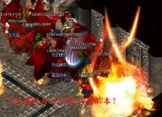 ��θ�Ч�ϳ�TVZML����ű���