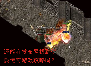 �����ڷ������ҵ����ʴ�����Ϸ������