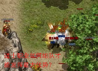 ��ʿְҵ�����Ӳ��ܷ���������ƣ�