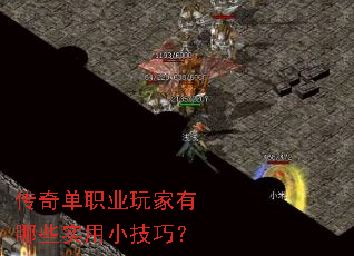 ���浥ְҵ�������Щʵ��С���ɣ�