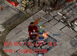 �ڳ���������ô�죿���Ŵ���1.76��Ӧ�Թ���