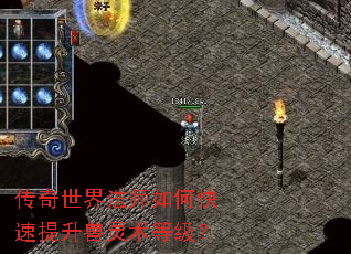 �������編ʦ��ο��������������ȼ���