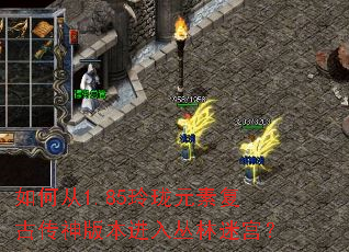 ��δ�1.85����Ԫ�ظ��Ŵ���汾��������Թ���