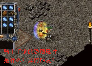 ��ʿ����������������ʲô����δ�����