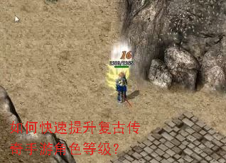 ��ο����������Ŵ������ν�ɫ�ȼ���