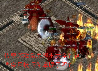 ������Ϸ���ýű���ȫ����Щʵ�ü�������������