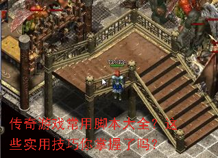 ������Ϸ���ýű���ȫ����Щʵ�ü�������������