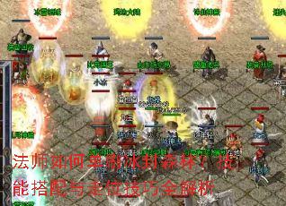 ��ʦ��ε�ˢ����ɭ�֣����ܴ�������λ����ȫ����