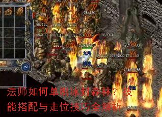 ��ʦ��ε�ˢ����ɭ�֣����ܴ�������λ����ȫ����