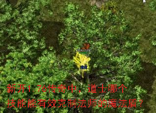 �¿�1.76�����У���ʿ�ĸ���������Ч���Ʒ�ʦ��ħ���ܣ�