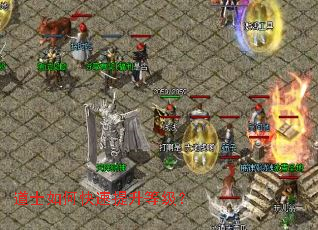 ��ʿ��ο��������ȼ���