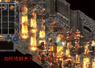 ����ҵ����µ�һ����NPC��