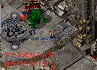 ����˽������Ϊ����ѡ��ʬ�����֣�