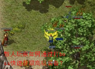散人玩家如何通过打boss快速获取高级装备? 散人玩家如何通过打boss快速获取高级装备?