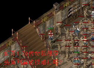 �¿�1.76����˽��˫ͷ�����ĺ��Ѵ���