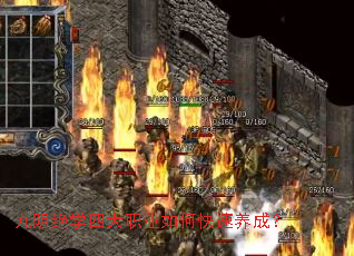 ������ѧ�Ĵ�ְҵ��ο������ɣ�