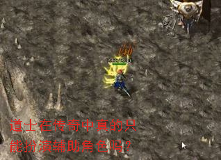 ��ʿ�ڴ��������ֻ�ܰ��ݸ�����ɫ��