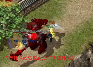 ����Ѻ�ھ����ܷ��������������