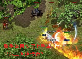 ������ο������ֵ�ְҵ����ͨ���棿