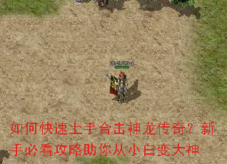 ��ο������ֺϻ��������棿���ֱؿ����������С�ױ����