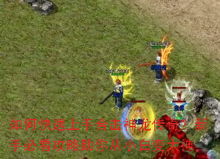 ��ο������ֺϻ��������棿���ֱؿ����������С�ױ����