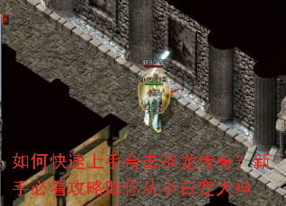 ��ο������ֺϻ��������棿���ֱؿ����������С�ױ����