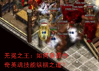 ����֮����������մ���Ӣ�꼼���ݺ�֮����