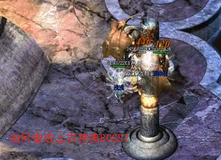 ��λ����Ϲ�����BOSS��