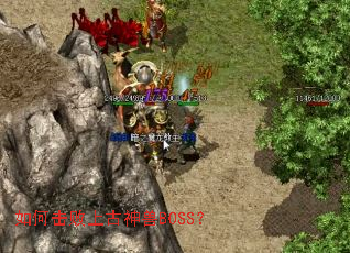 ��λ����Ϲ�����BOSS��