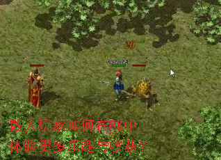 ɢ����������PK�����������Ȥ���ջ�