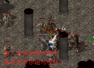 ɢ����������PK�����������Ȥ���ջ�