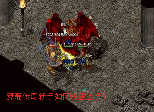 ç�Ĵ���������ο������֣�