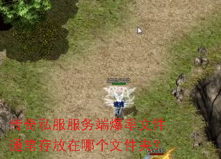 ����˽������˱����ļ�ͨ��������ĸ��ļ��У�