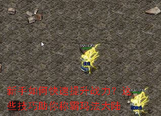 ������ο�������ս������Щ��������ư��귨��½