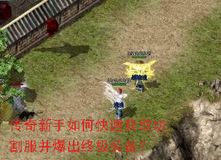 ����������ο��ٻ�ȡ�и���������ռ�װ����