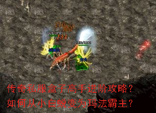 ����˽�����Ӹ��ֽ��׹��ԣ���δ�С���ɱ�Ϊ�귨������