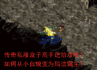 ����˽�����Ӹ��ֽ��׹��ԣ���δ�С���ɱ�Ϊ�귨������