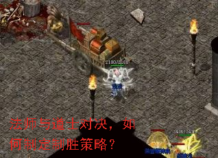 ��ʦ���ʿ�Ծ�������ƶ���ʤ���ԣ�